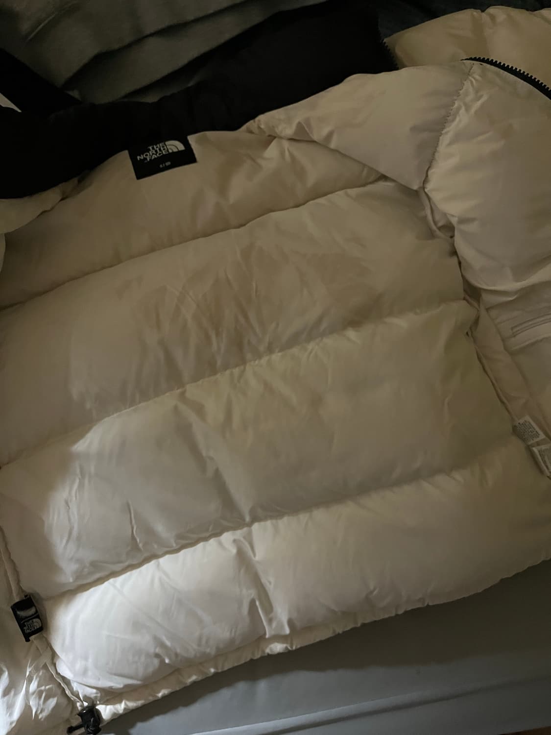 노스페이스 1996 에코 눕시 화이트 상품이미지4