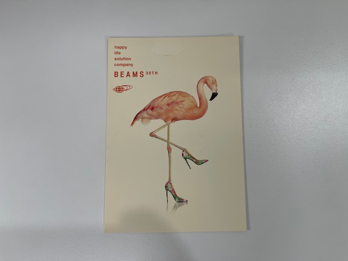 빔즈 30주년 기념 한정 아트 포토 Beams AD2006 상품이미지3