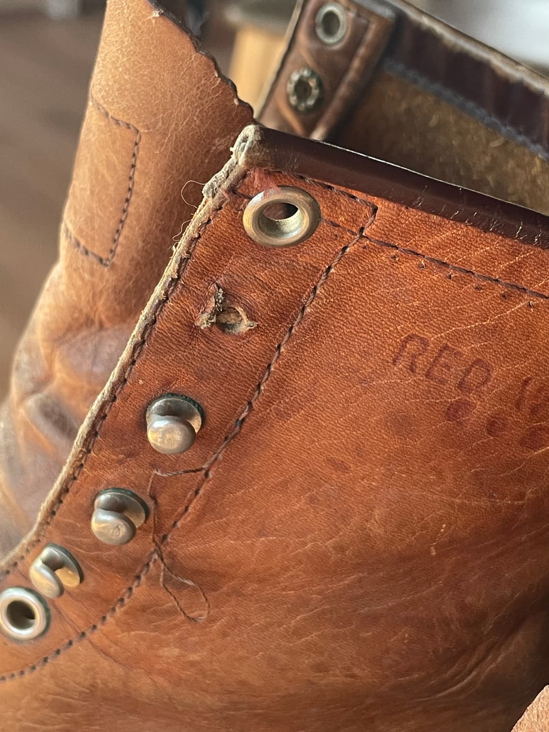 레드윙 아이리쉬 세터 90's 상품이미지7