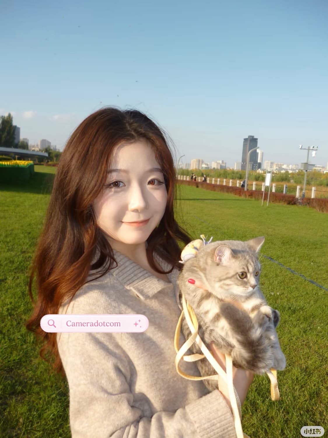 풀셋!) Lumix s2 루믹스 s2 핑크 상품이미지3