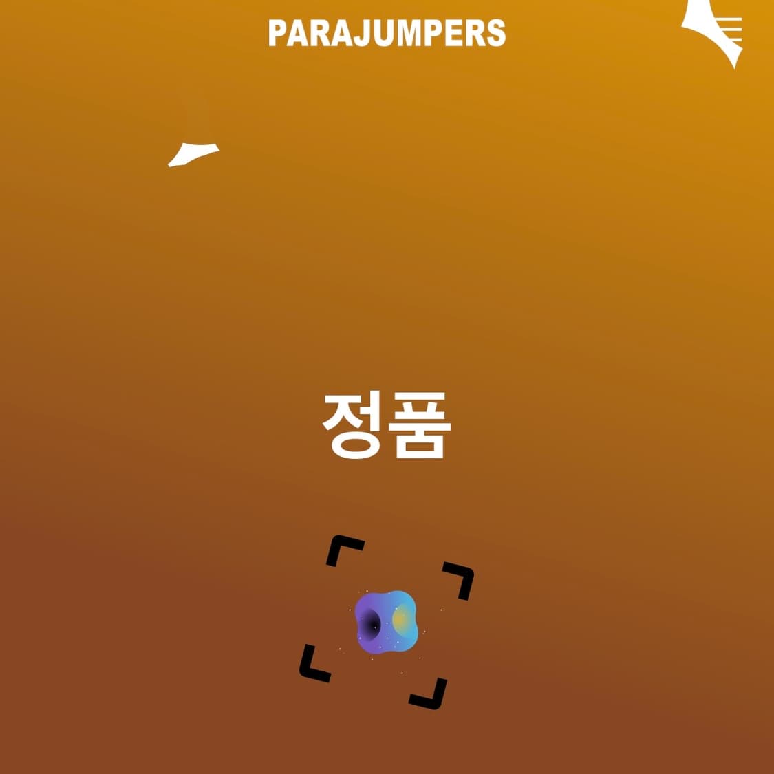 85 파라점퍼스 고비 마스터피스 남자 봄버 패딩 상품이미지4