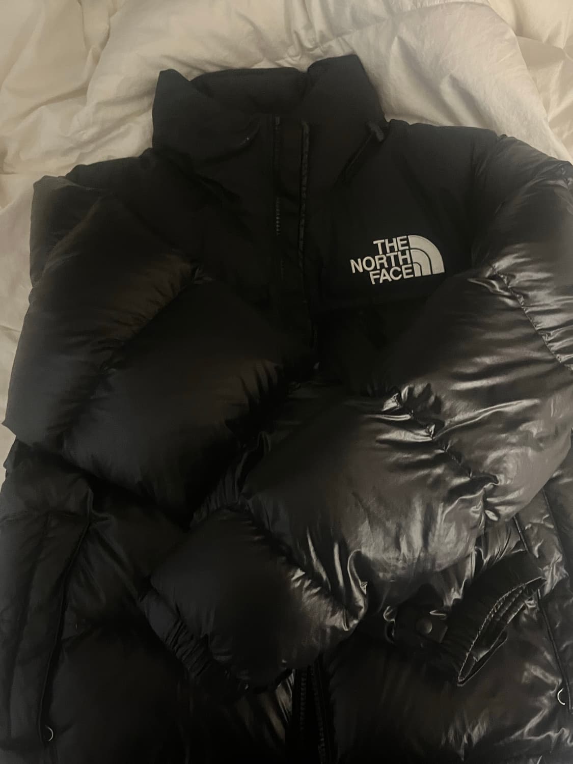 노스페이스 눕시 온볼 패딩 상품이미지2