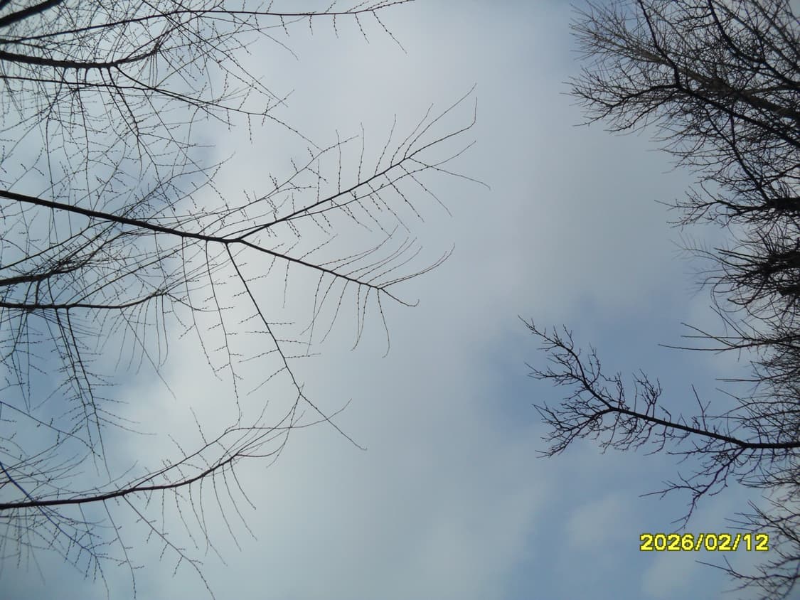 삼성 vluu pl100 디카 상품이미지9