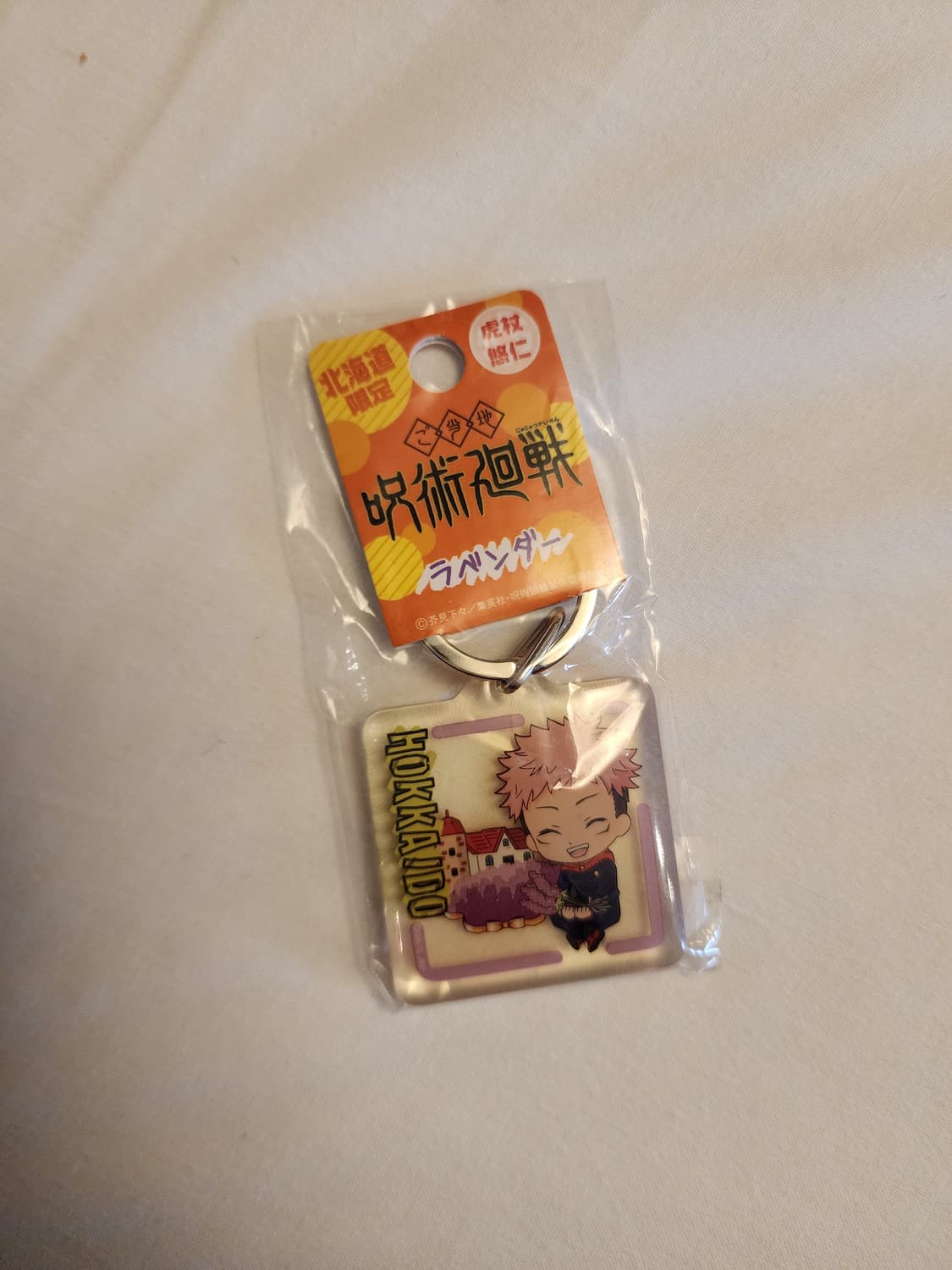 주술회전 일본지역 아크릴 키링 개당3천원 상품이미지4