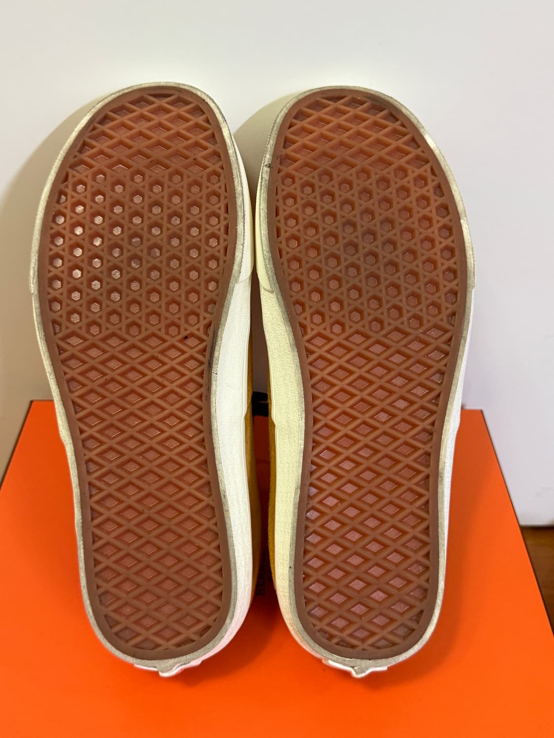 반스 그로쓰 가든 선플라워 상품이미지2