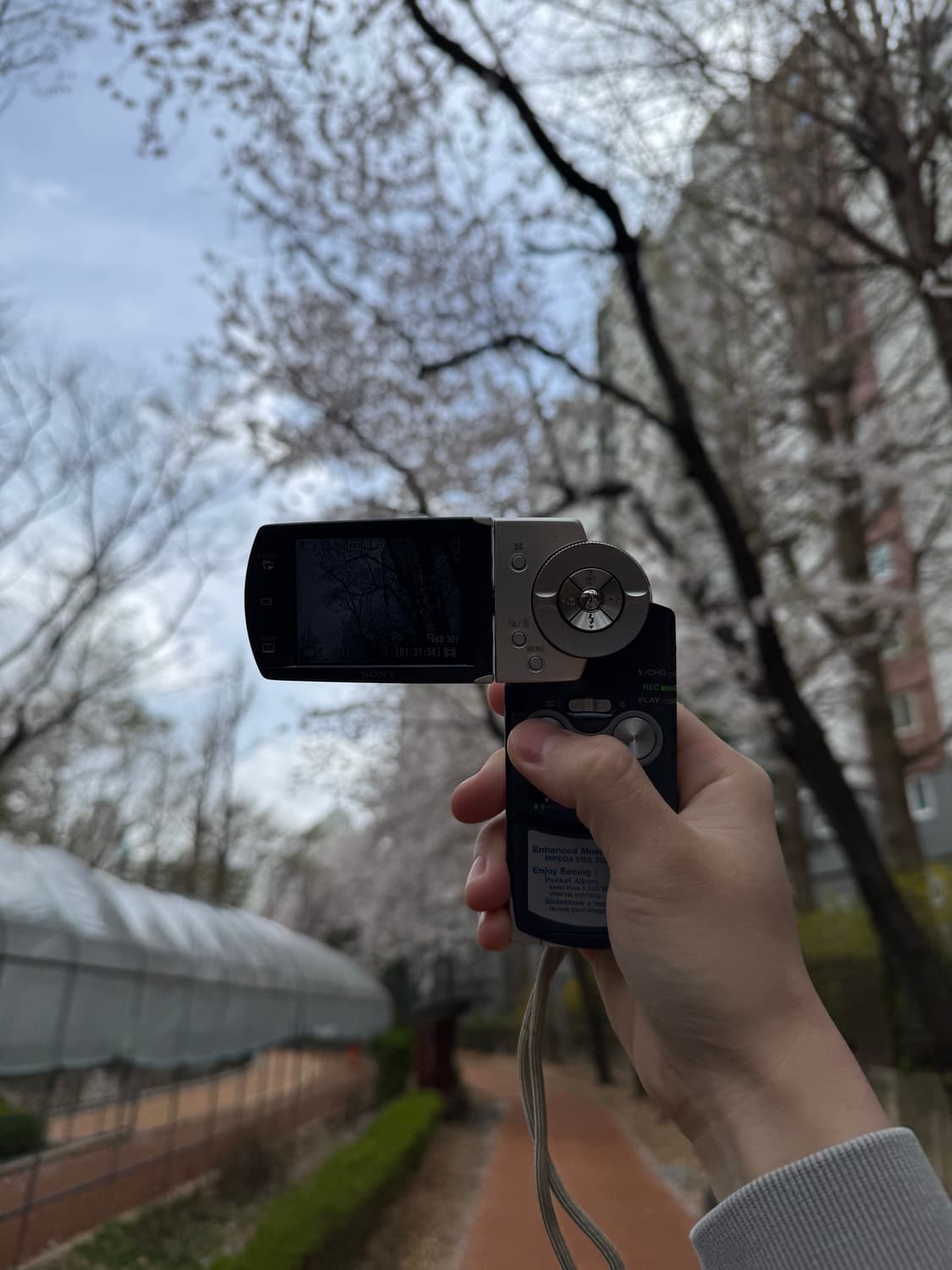 소니 사이버샷 dsc m2 상품이미지5