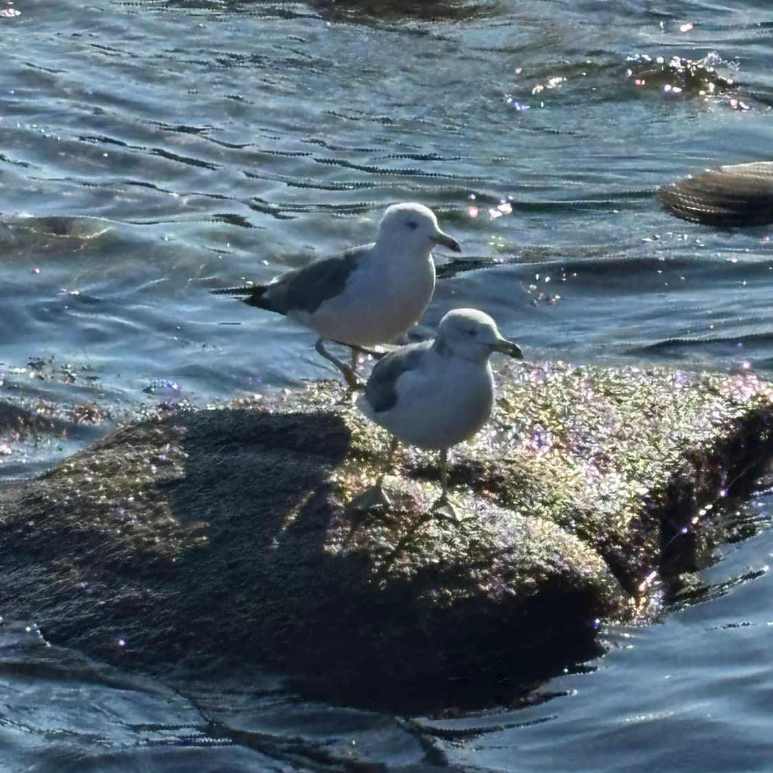 naye*****님 개인결제창입니다. 상품이미지1