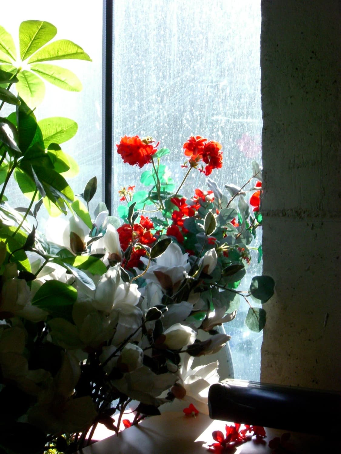 카시오 엑슬림 ex-s600 블루 (작례o) 상품이미지10