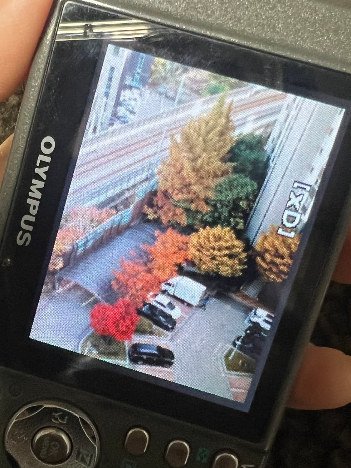 올림푸스 뮤 600 상품이미지5