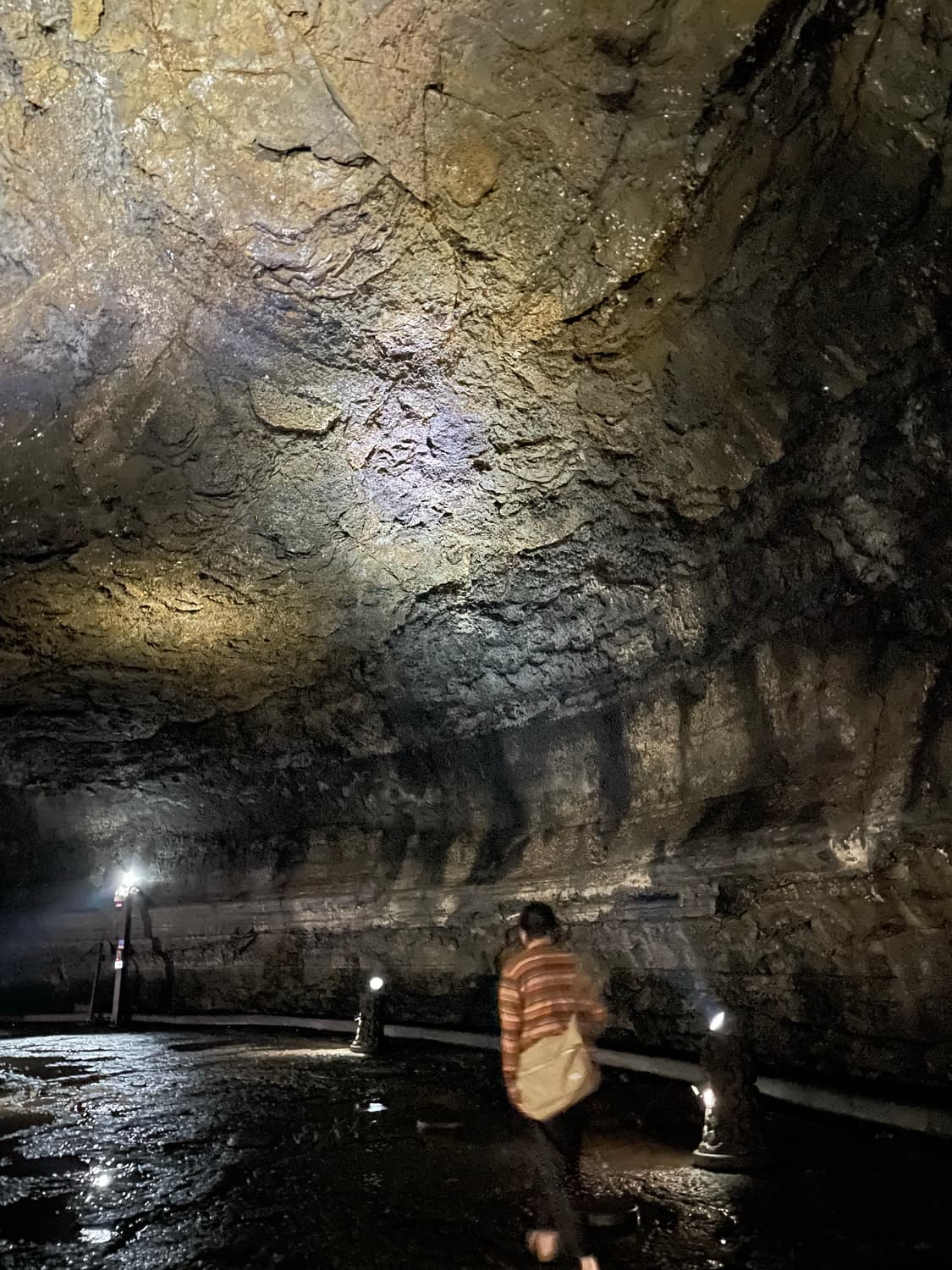 Porter 크로스백 상품이미지5