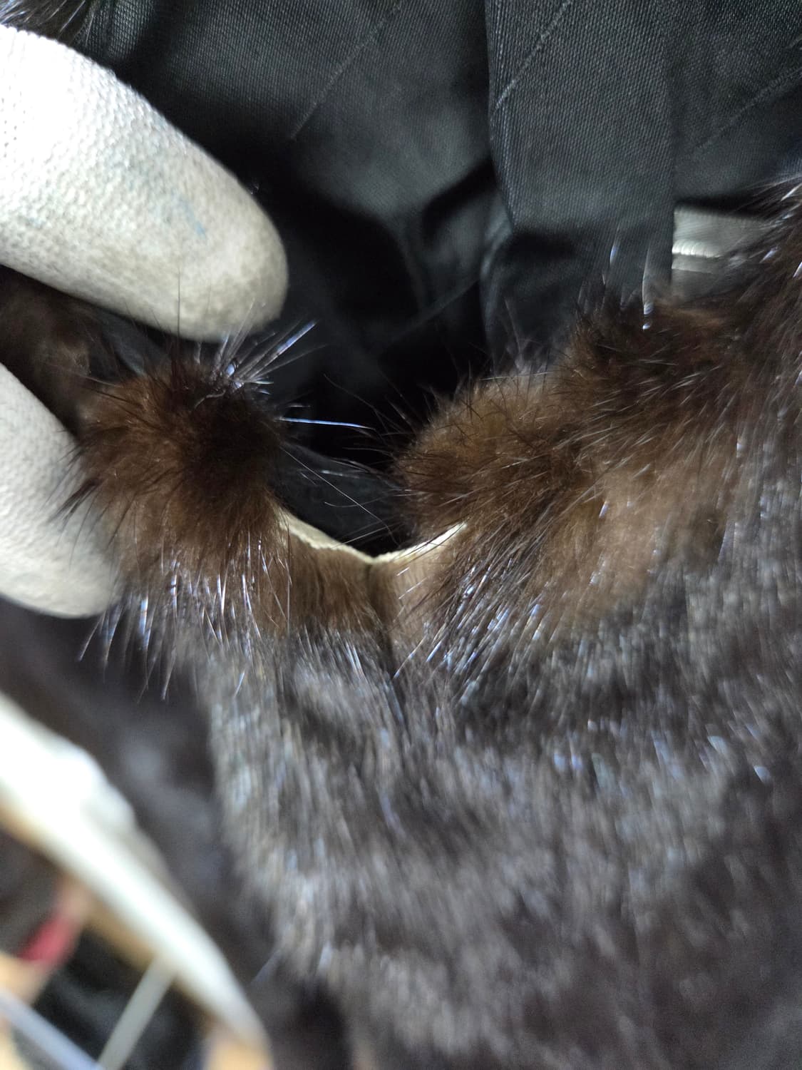 진도 풀스킨 밍크 베스트 상품이미지6