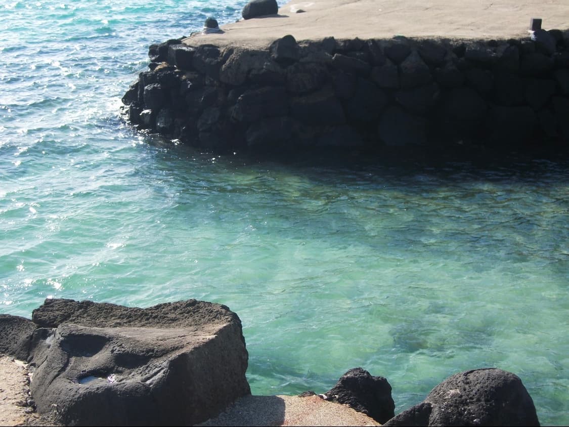 (필름느낌!🫧작례o) 후지필름 A220 | Fujifilm A220 상품이미지5