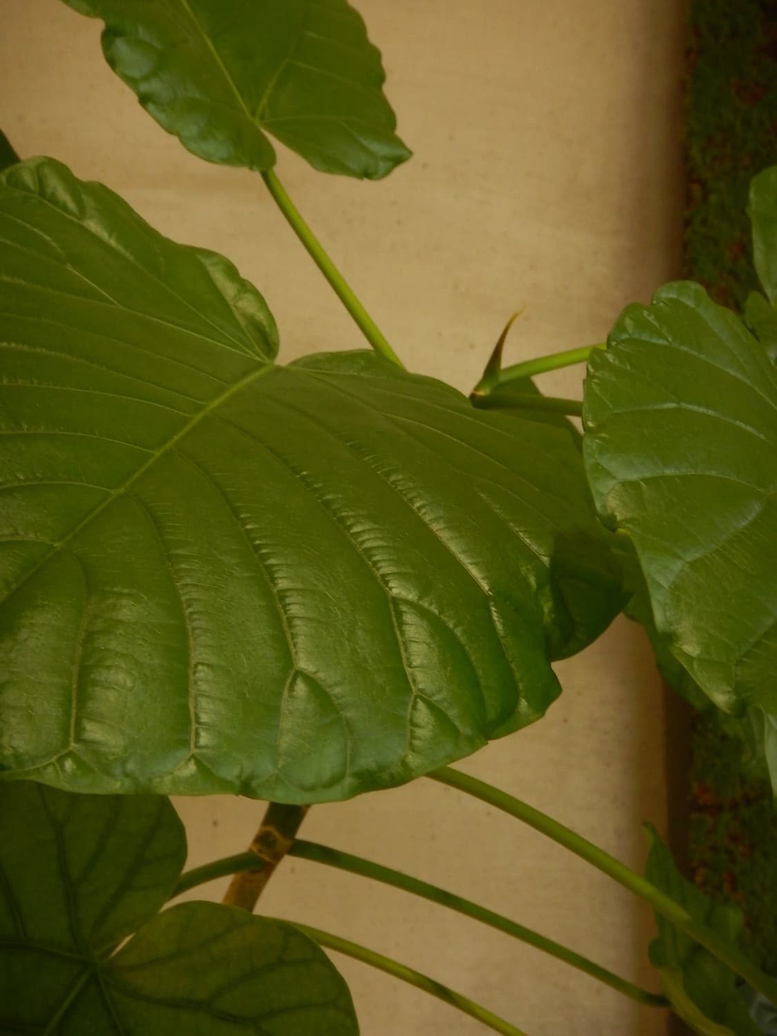 작례O) 니콘 쿨픽스 aw130 | nikon coolpix aw130 상품이미지7