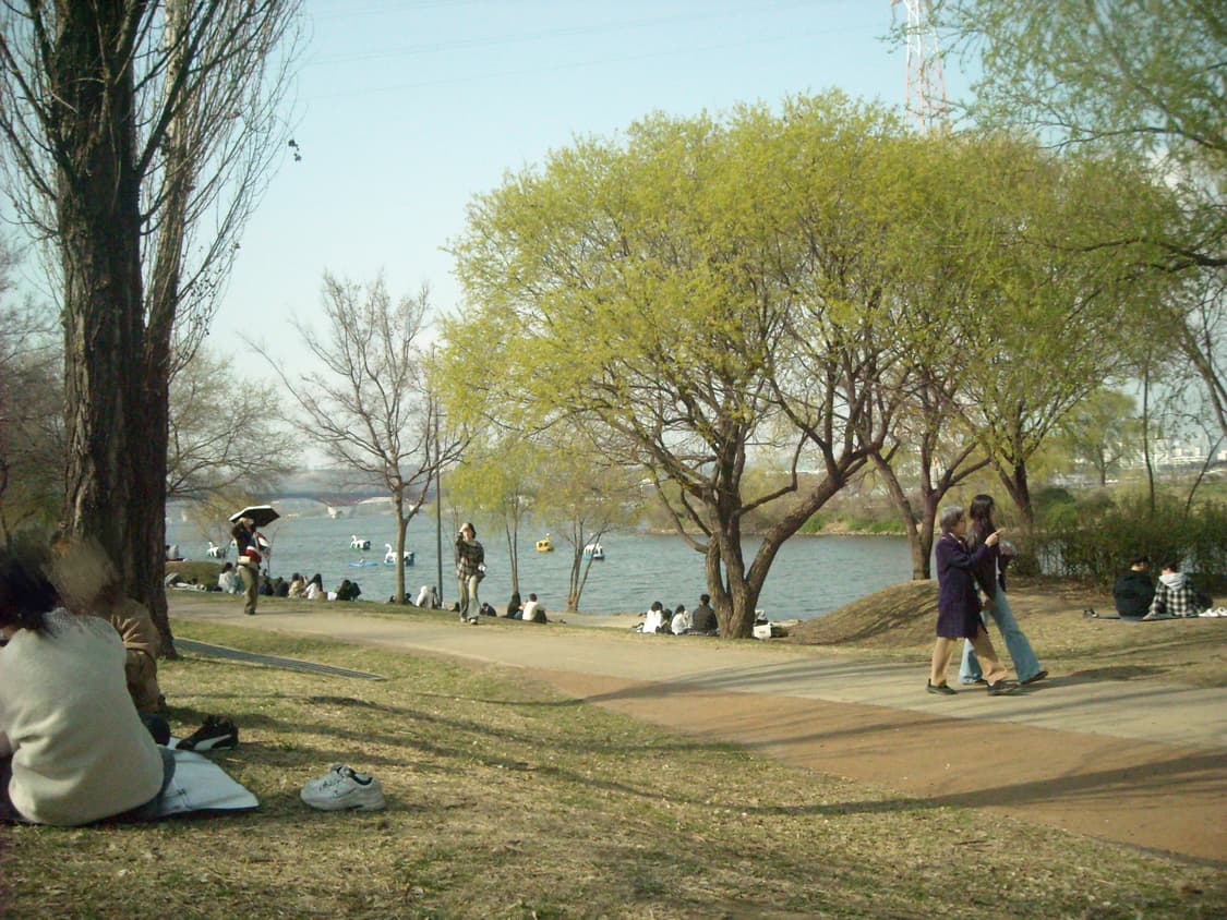 (작례O) 니콘 쿨픽스 S520 실버 풀세트 상품이미지2