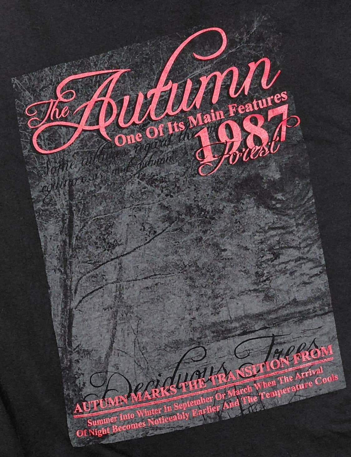 ZEKY 오텀 그래픽 롱 슬리브 티셔츠 (사이즈 M) 상품이미지4