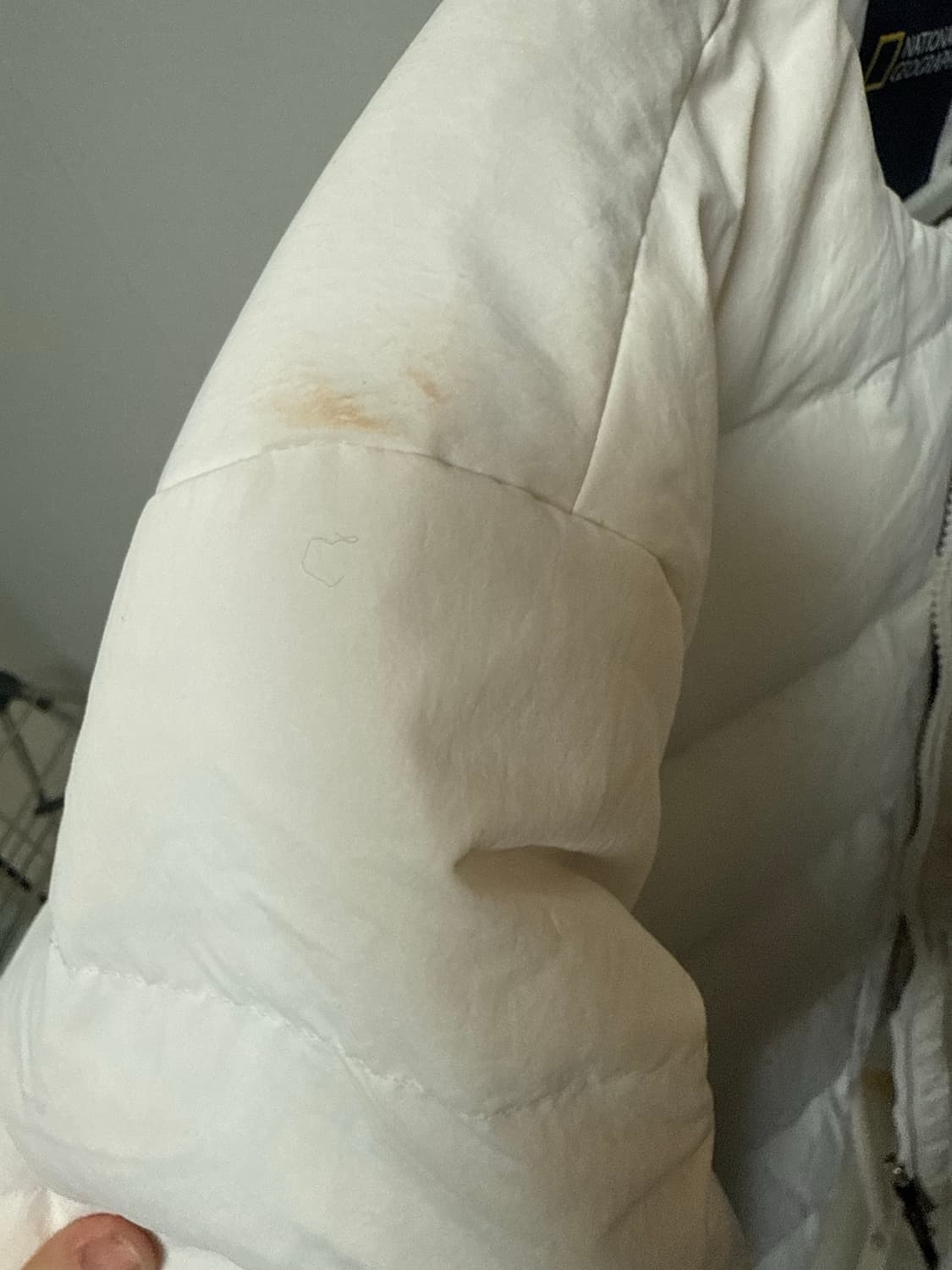 내셔널지오그래픽 경량패딩 상품이미지4