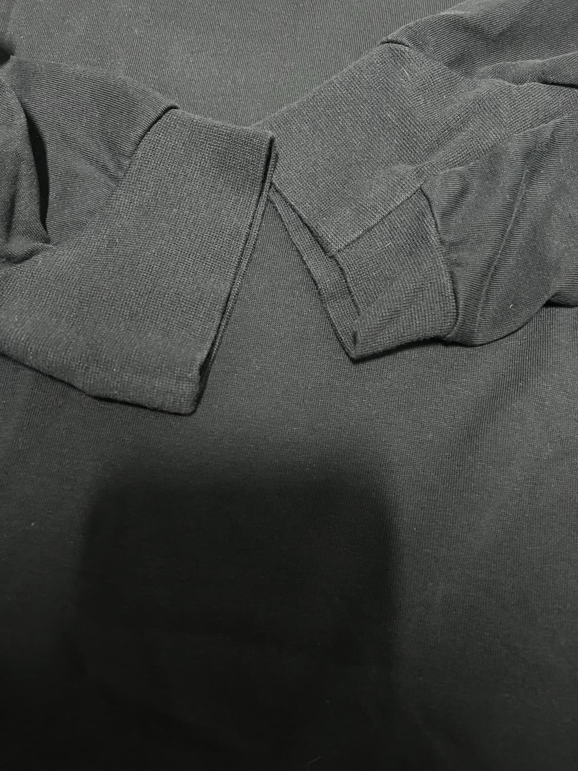 [L] 아크테릭스 시스템 A 코팔 롱슬리브 버드 티셔츠 테라리움 상품이미지6