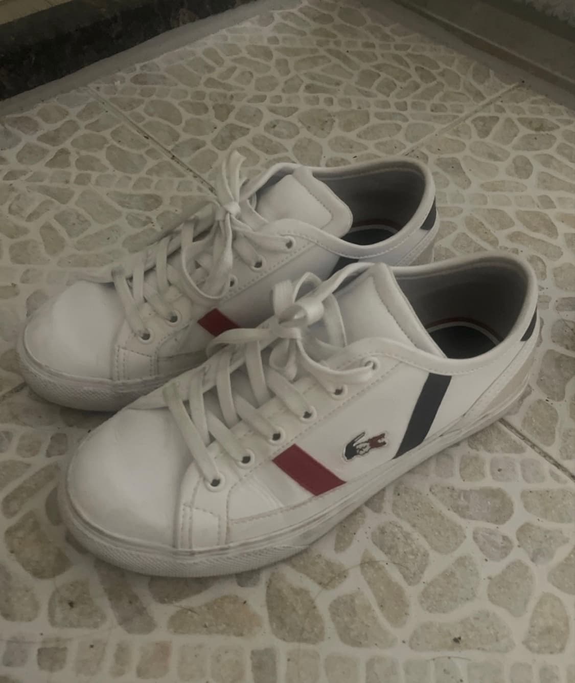 라코스테 스니커즈 230 상품이미지1