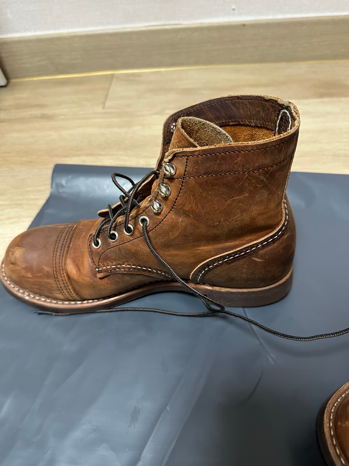 레드윙 8085 255사이즈 팝니다. 상품이미지2