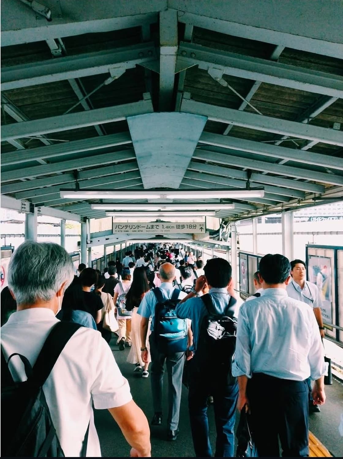 Canon iNSPiC REC FV-100 디카 디지털카메라 상품이미지5