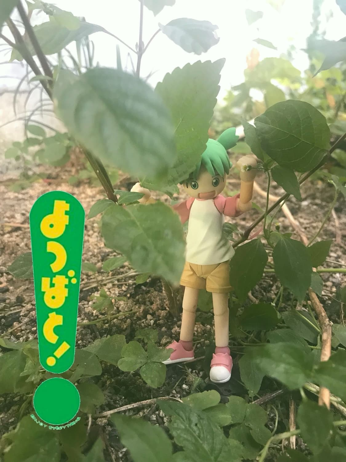 요츠바랑! よつばと！리볼텍 피규어 상품이미지4