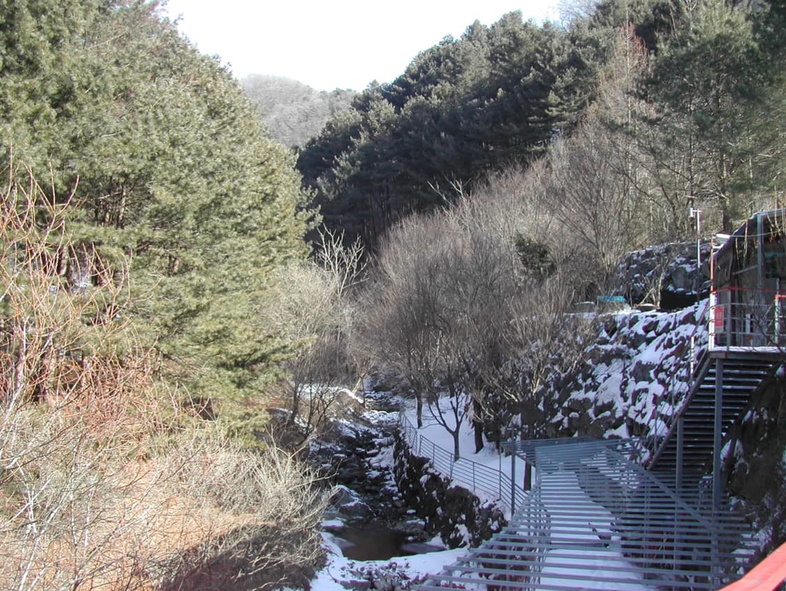 Nikon Coolpix 885 (Y2K 디카 감성) 상품이미지9