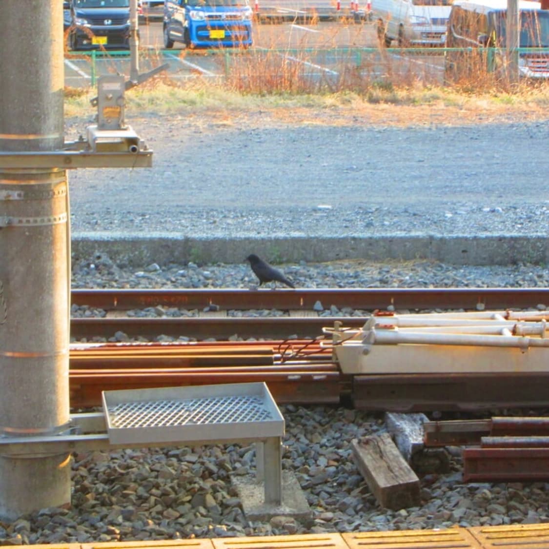 캐논 파워샷 Canon PowerShot A2500 블랙 상품이미지4