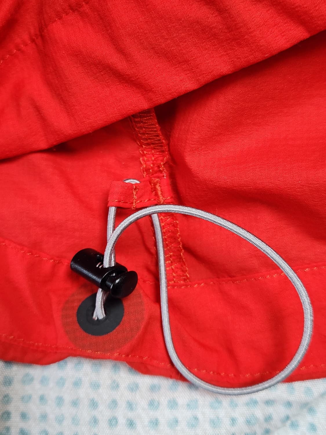 아크테릭스 인센도 후디 상품이미지5