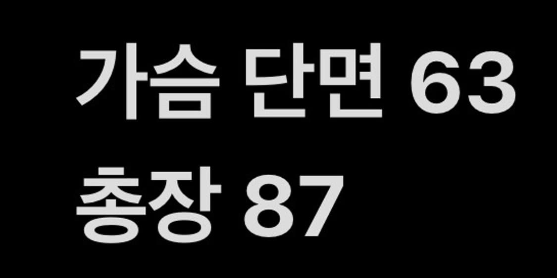 [ 정품/XL,105 ] 뉴발란스 카메라맨 프로 야상 자켓 b14 상품이미지10