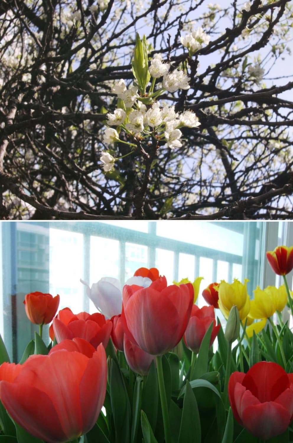 비비타 비비캠 8400 빈티지 디카 상품이미지7