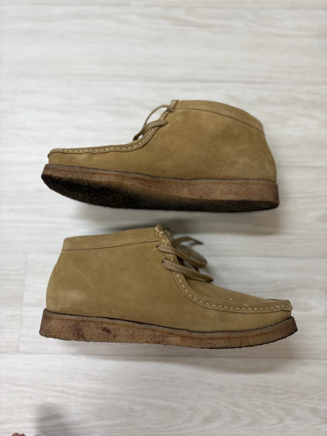 [uk8] 패드모어앤반스 p404 테라스웨이드 상품이미지2