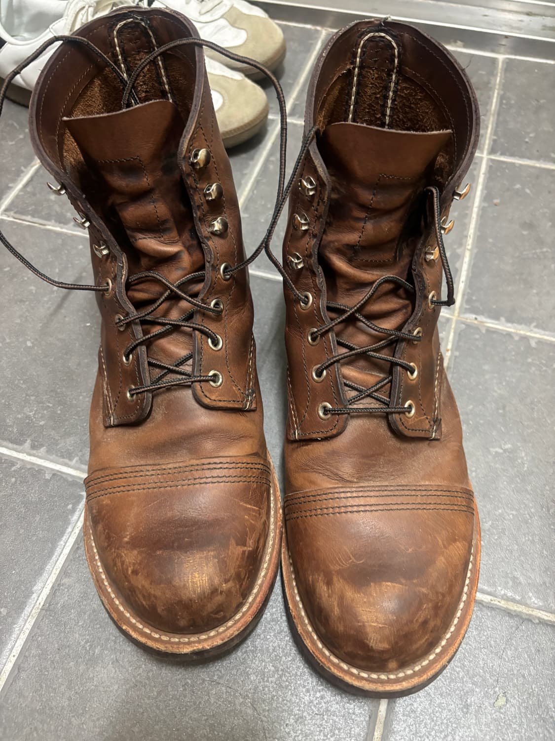 레드윙 8111 290 상품이미지5