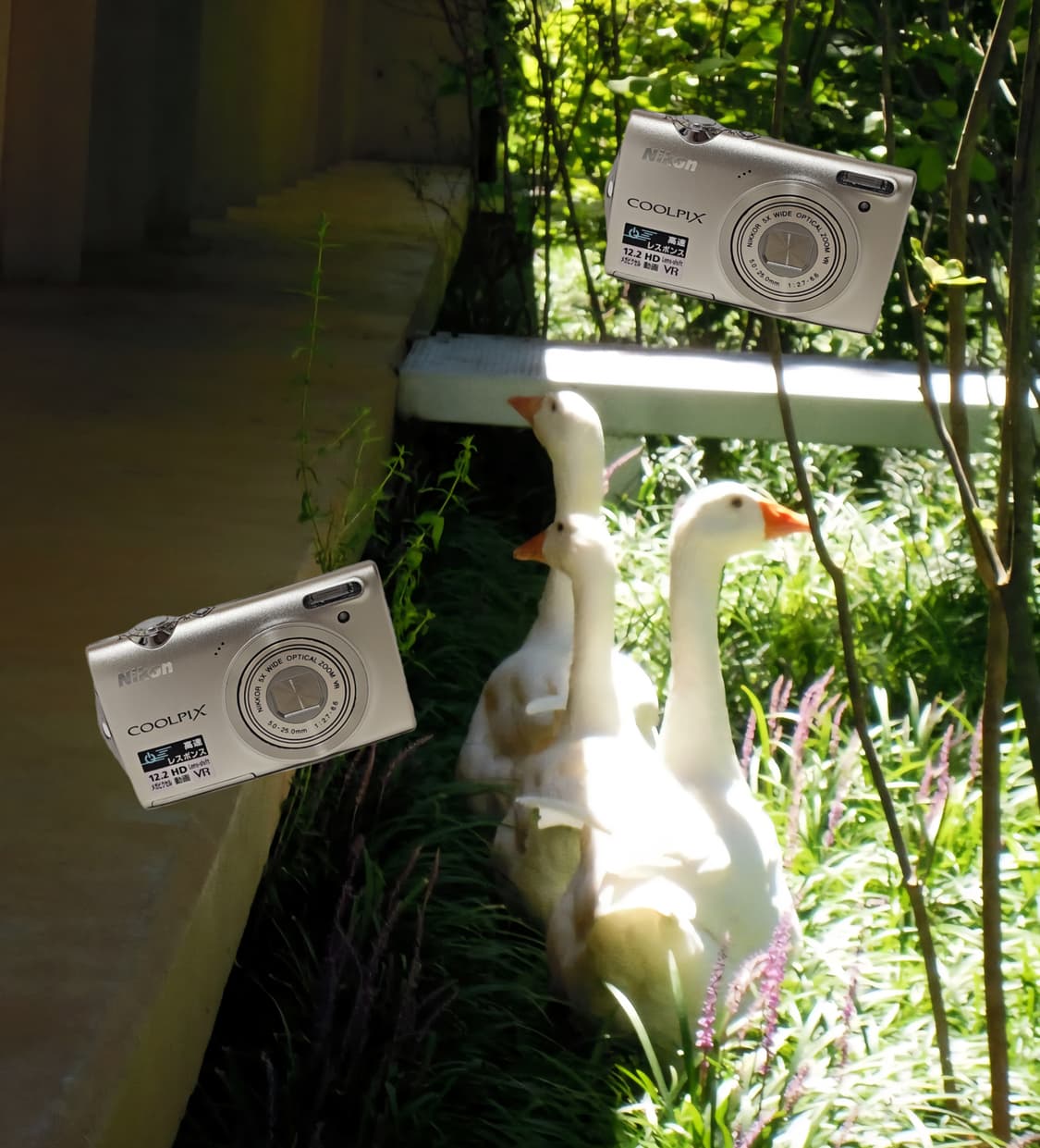 희귀!! 츄 디카 Nikon Coolpix S5100 니콘 쿨픽스 💕 상품이미지1