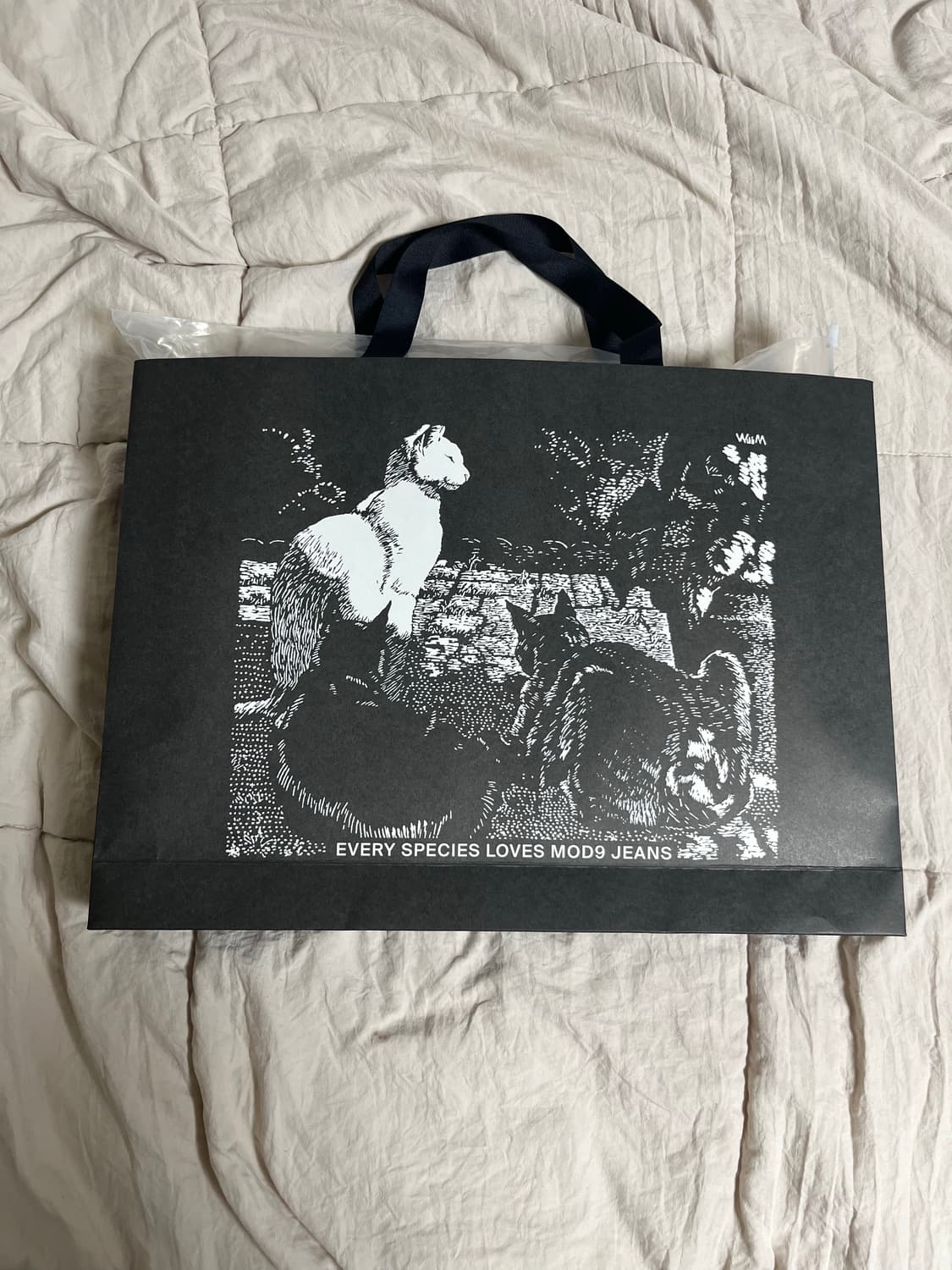 모드나인 / 퍼스트컨택 first contact 7s / 30 상품이미지2