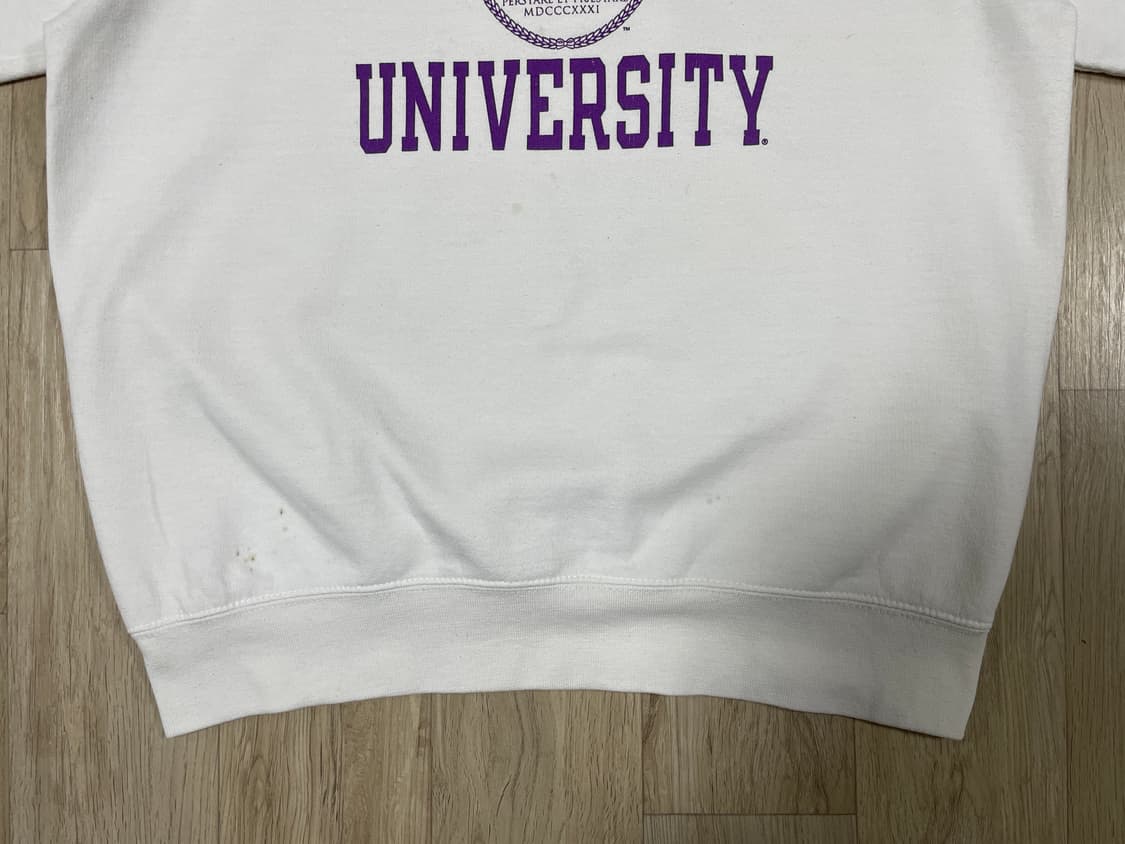 100) 챔피온 뉴욕대 빅로고 맨투맨 상품이미지5