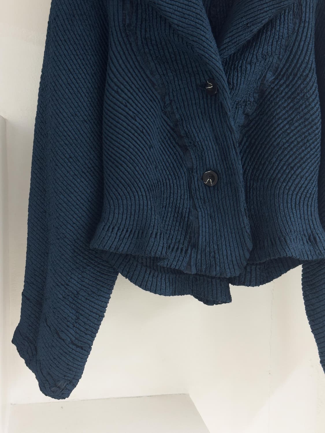 이세이미야케 3D steam 플리츠 자켓 상품이미지4