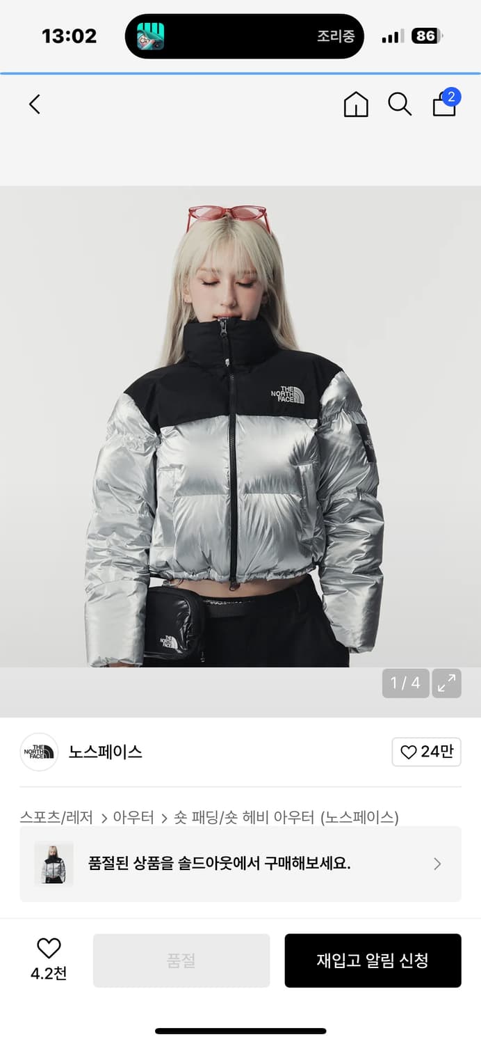 노스페이스 눕시 실버 (화이트라벨 눕시 다운 자켓 SE) 상품이미지2