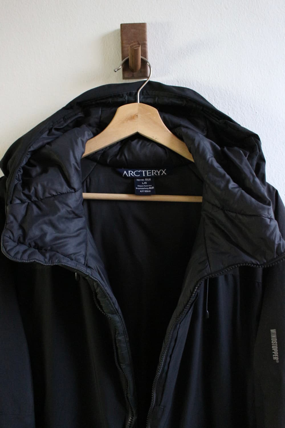 아크테릭스 피션 LT 후디 자켓 상품이미지8