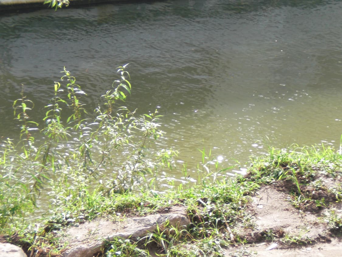 희귀) 빈티지 디카 CASIO EXILIM Z80 카시오 엑슬림 상품이미지6