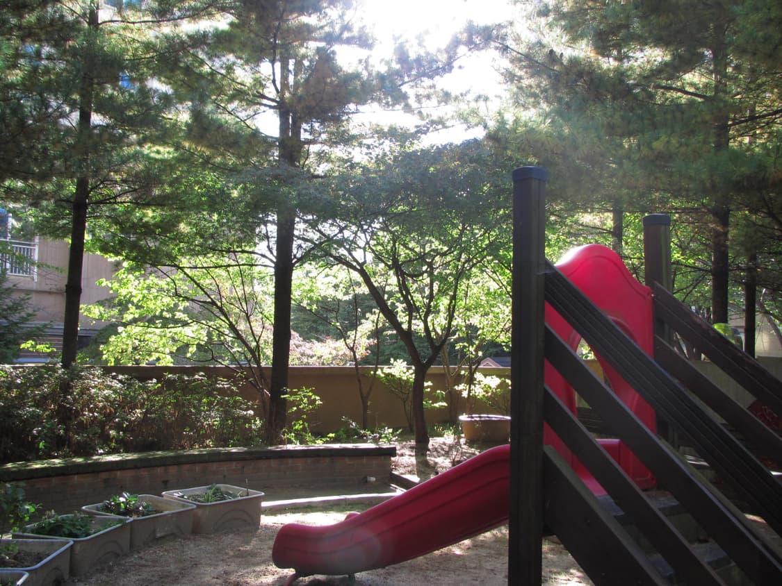 작례O)Canon ixus 1000 hs 상품이미지3