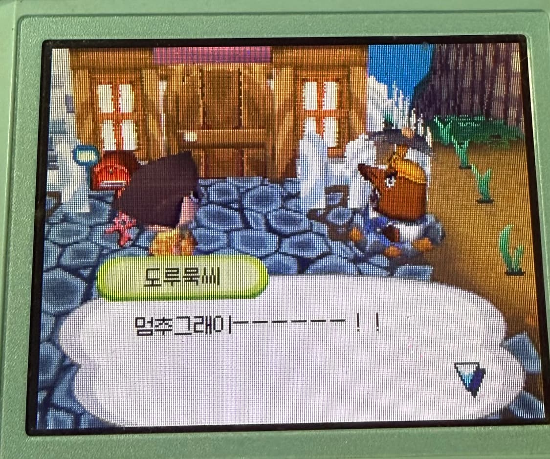 닌텐도ds동물의숲(한국어) 상품이미지4