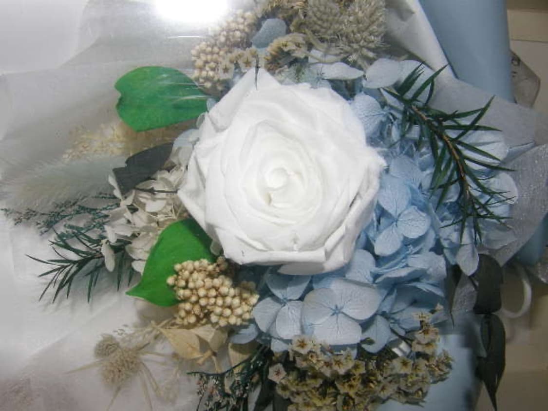 올림푸스 SP-550UZ [작례O] 상품이미지8