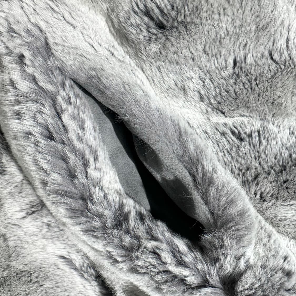 알렉산더왕 래빗퍼 후드 집업 자켓 상품이미지5