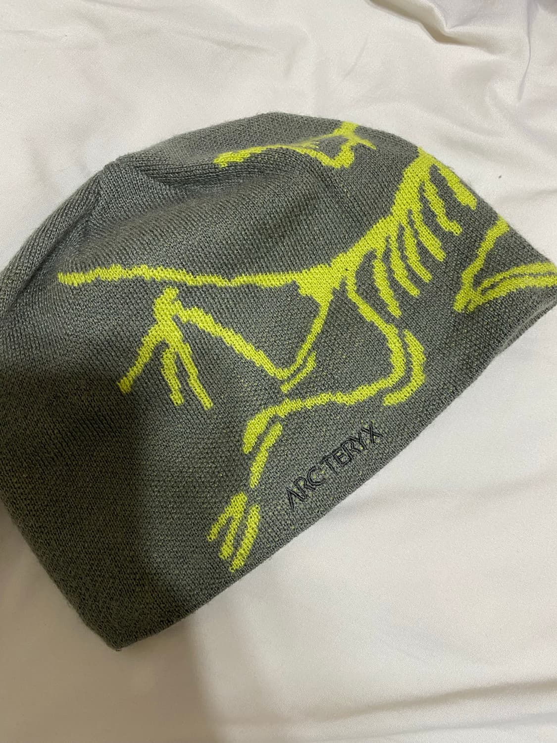 아크테릭스 비니 상품이미지1