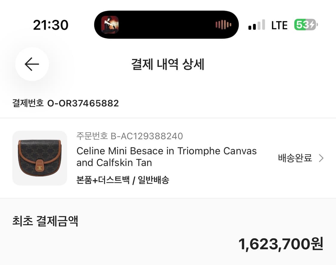 셀린느 미니 베사체 트리옹프 미니 베사체 캔버스 탄 거즘새상품 [정품] 상품이미지2