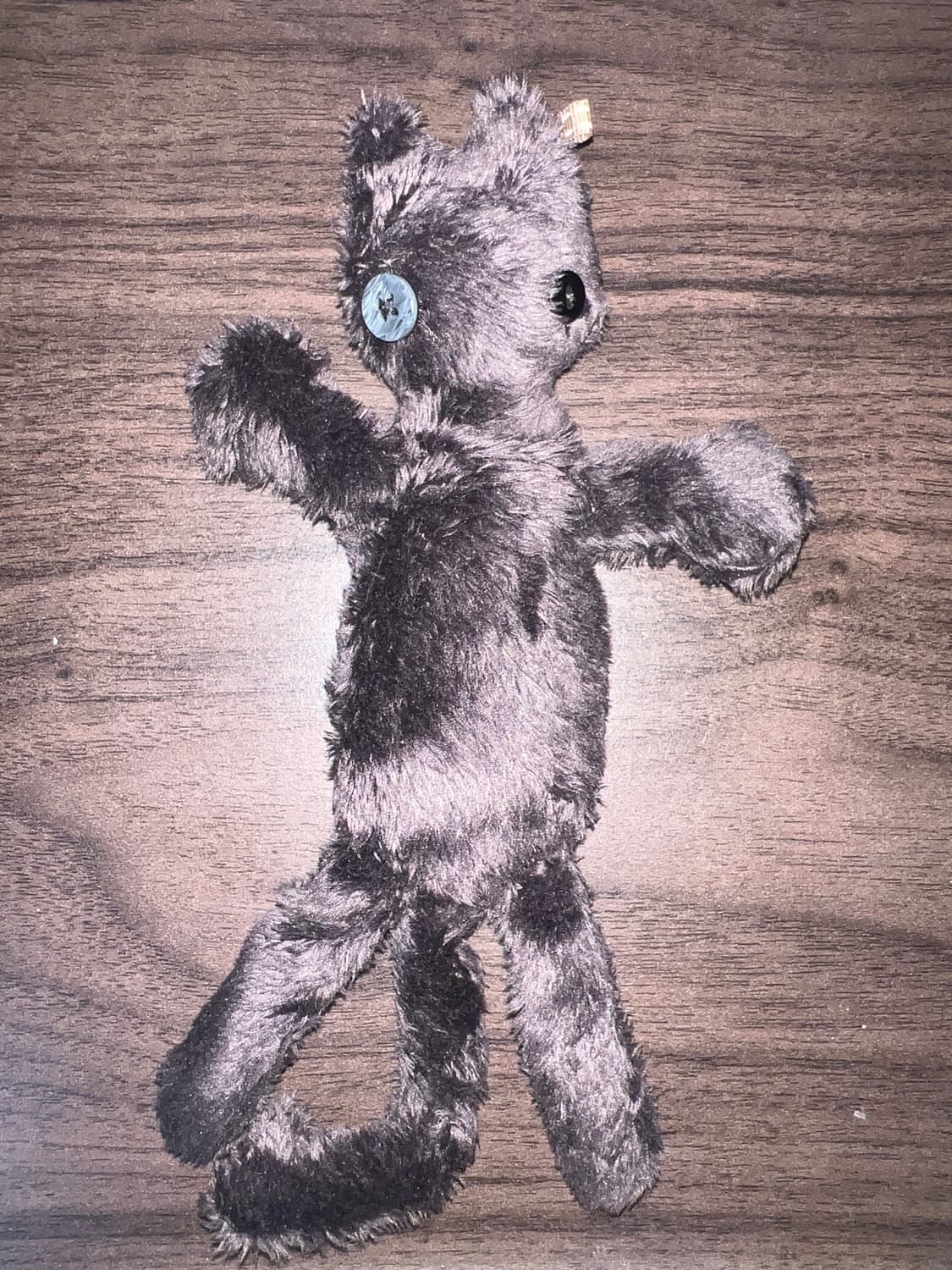 Dying inside cat (charcoal)  상품이미지1