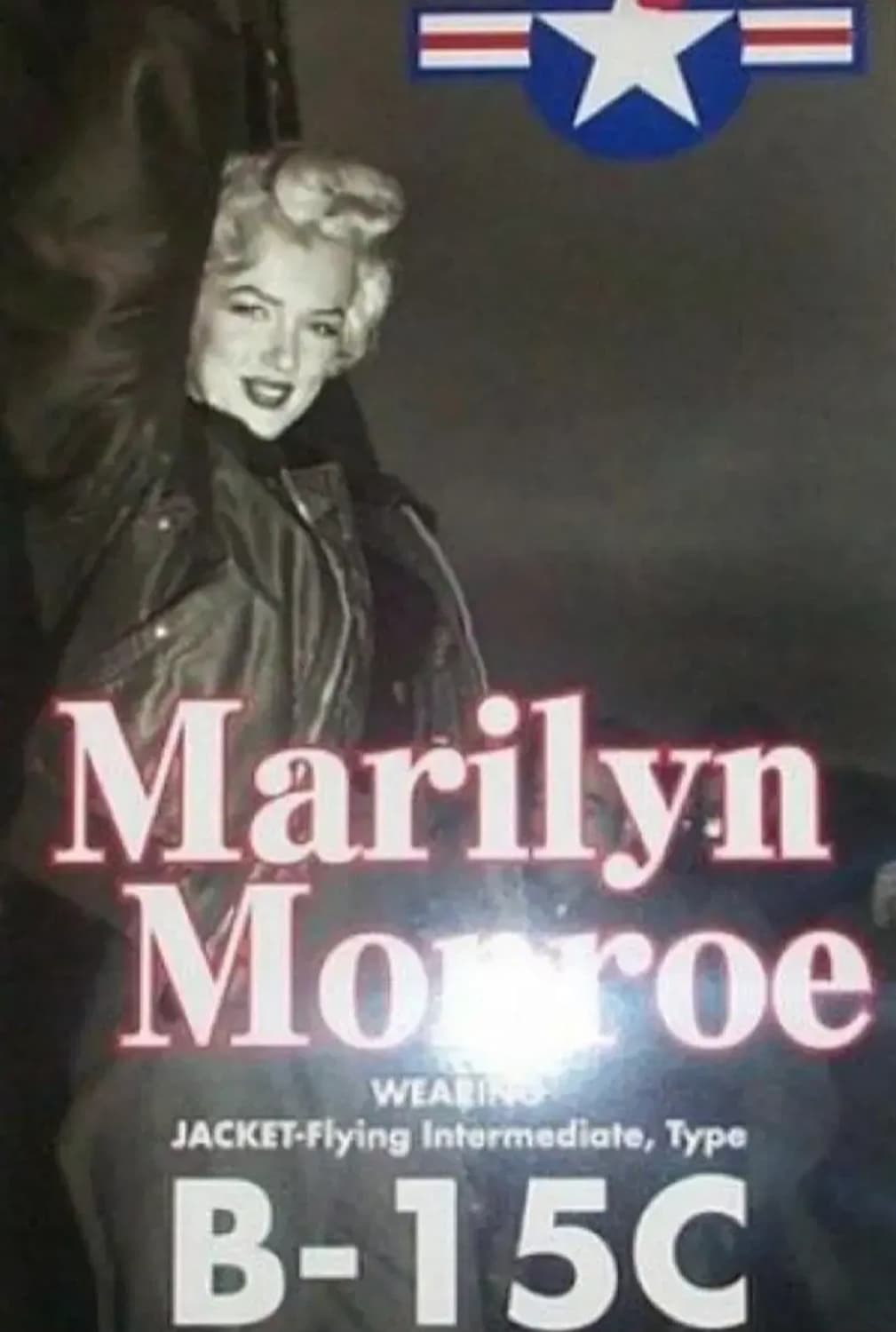 오리지날 미국제조 알파사 마릴린몬로 미공군 B-15C 항공점퍼 상품이미지1