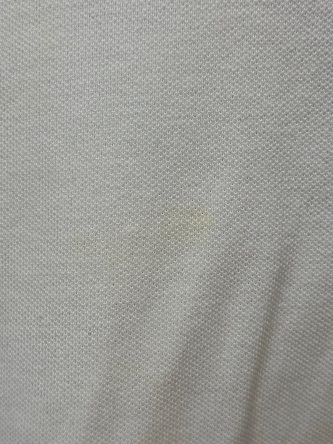 폴로 랄프로렌 여자 카라티 상품이미지2