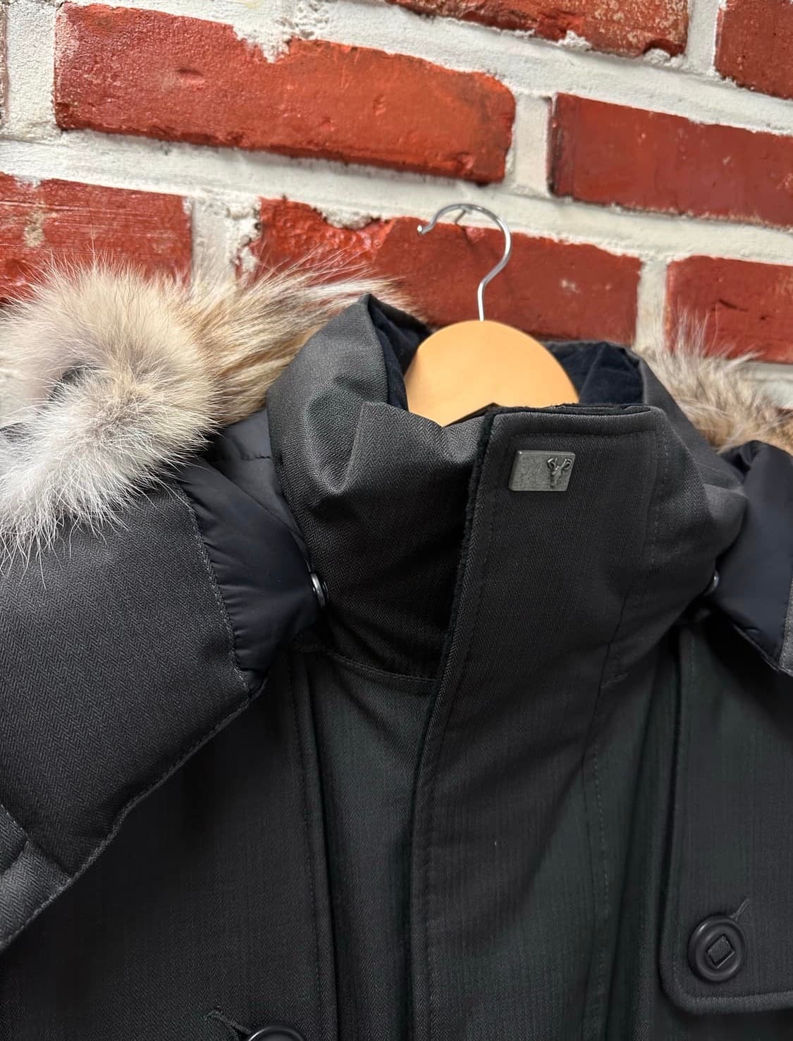 노비스 카르텔  상품이미지3