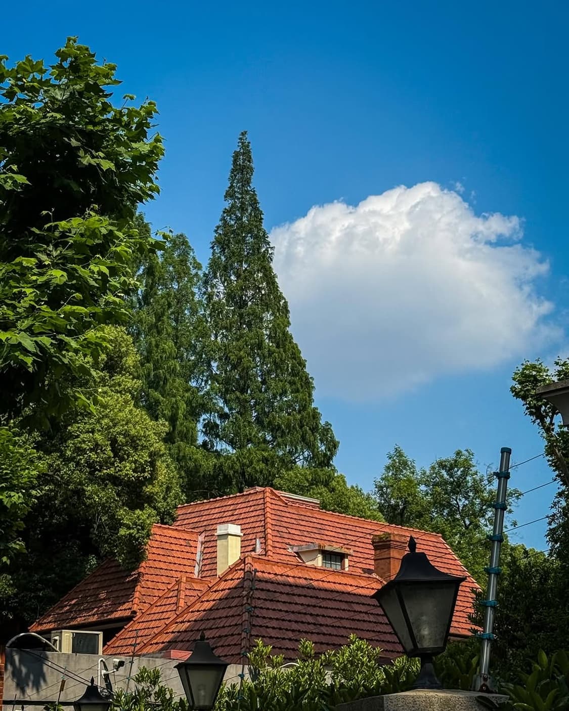 Canon PowerShot TX1 판매합니다 상품이미지8